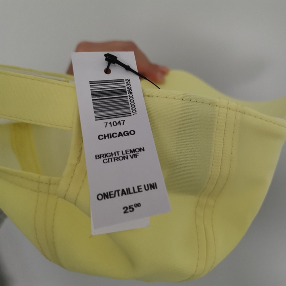 Aritzia Chicago Cap - Picture 2 of 5